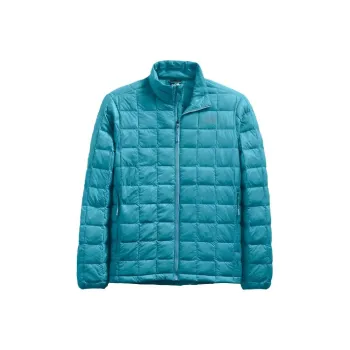 THE NORTH FACE Down Jackets Men Aqua Blue