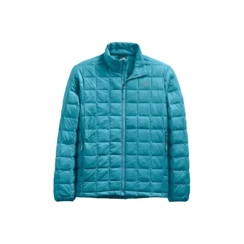 THE NORTH FACE Down Jackets Men Aqua Blue