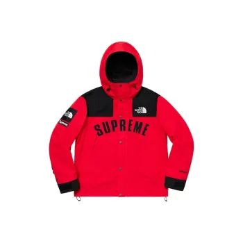Supreme The North Face Arc Logo Mountain Parka