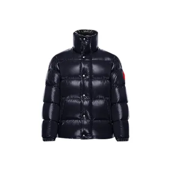 Moncler Winter Down Jacket Men's Blue
