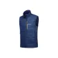 PUID Blue