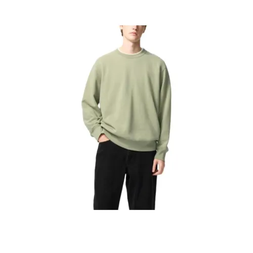 UNIQLO Sweatshirt Unisex Verdant Green