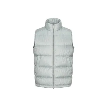 DIOR Dior Quarterly New Products Winter Down Jacket Men's Gray
