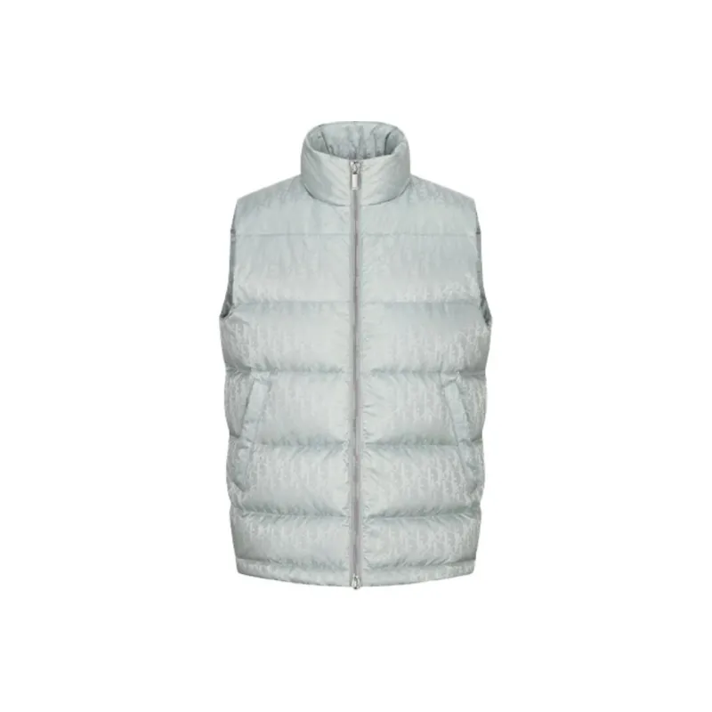 DIOR Dior Quarterly New Products Winter Down Jacket Men's Gray-0