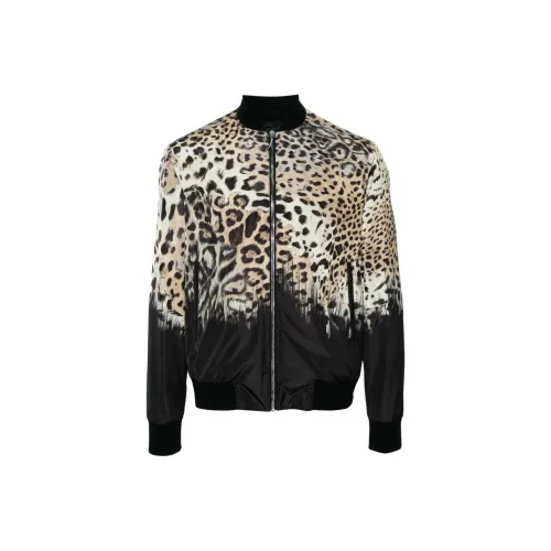 Roberto Cavalli Tiger Tooth-detailed Leopard-print Bomber Jacket
