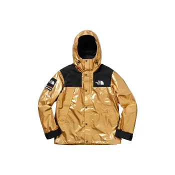 Supreme The North Face Metallic Mountain Parka