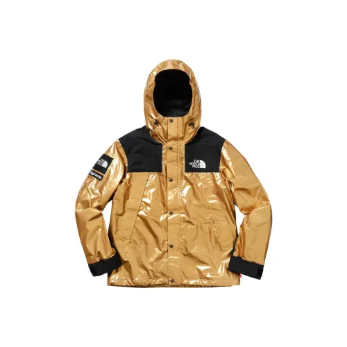 Supreme The North Face Metallic Mountain Parka