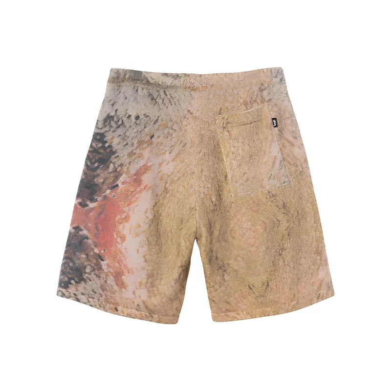 Stussy Wings Print Knit Short-1