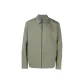 Dusty Green/Forage
