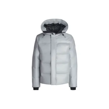 Canada Goose Down Jacket Unisex Silver Gray