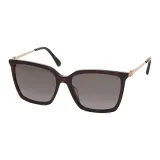 Sunglasses 237 S 8079O