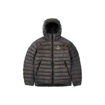 Arcteryx Arc'teryx Hoodie