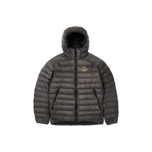 Arcteryx Arc'teryx Hoodie