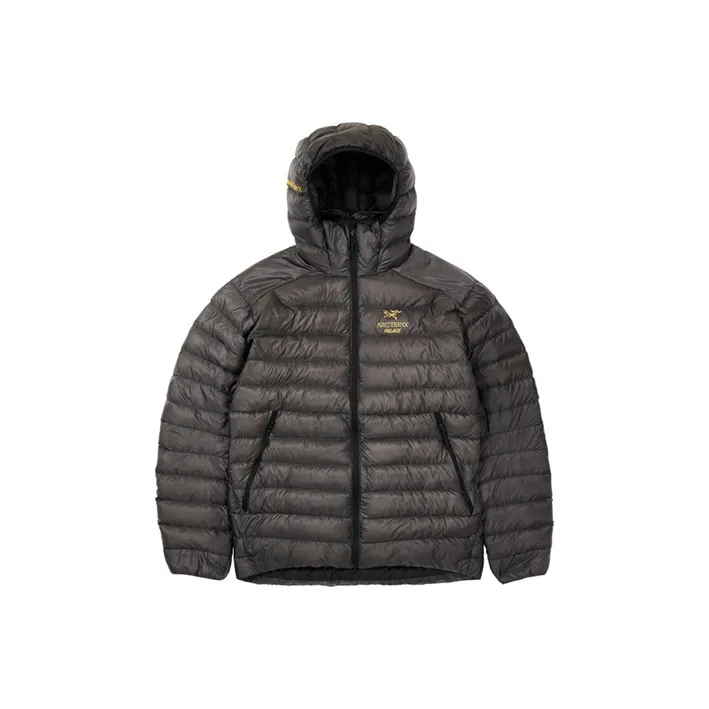 Palace X Arc'Teryx Cerium Lt Hoodie-0