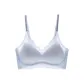 Blue Gray