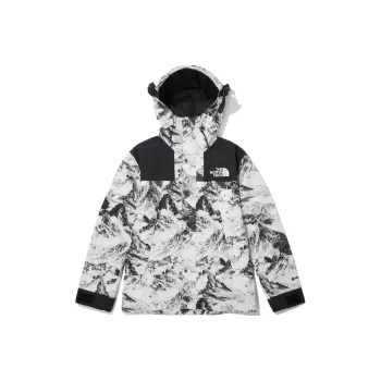 THE NORTH FACE Novelty Eco Gtx Mountain Jacket Nutral Gray Unisex Korea Version