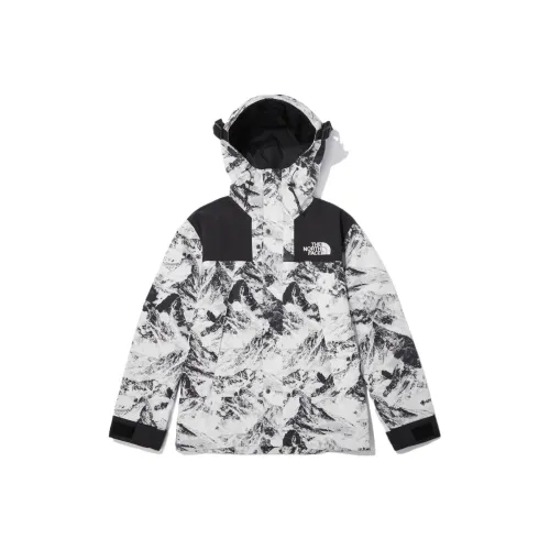 THE NORTH FACE Novelty Eco Gtx Mountain Jacket Nutral Gray Unisex Korea Version