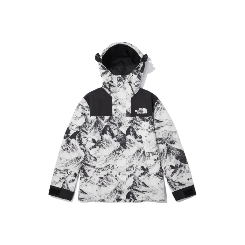 THE NORTH FACE Novelty Eco Gtx Mountain Jacket Nutral Gray THE NORTH FACE Novelty Eco Gtx Mountain Jacket Nutral Gray