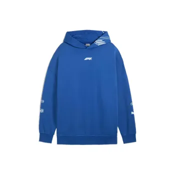 PUMA Hoodie Sweatshirt Men's Blue