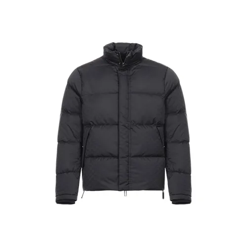 EMPORIO ARMANI Quilted Puffer Jacket With All sweatshirt Jacquard Eagle
