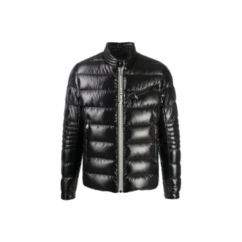 Moncler Down Jacket Men's Black