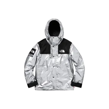 Supreme The North Face Metallic Mountain Parka