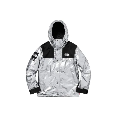 Supreme The North Face Metallic Mountain Parka