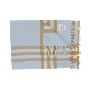 Burberry Knit Scarves Women's Light Blue