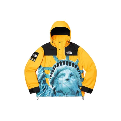 Supreme The North Face Statue Of Liberty Mountain Jacket