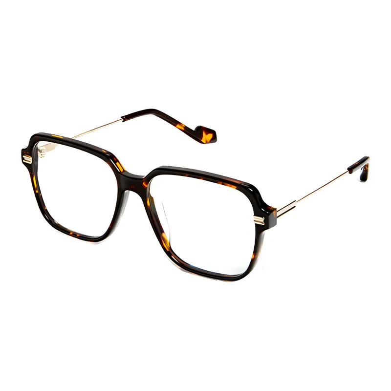 GENTLE MONSTER Metal Square Eyeglass Frames Unisex Tortoiseshell-1