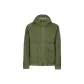 Bronze Green