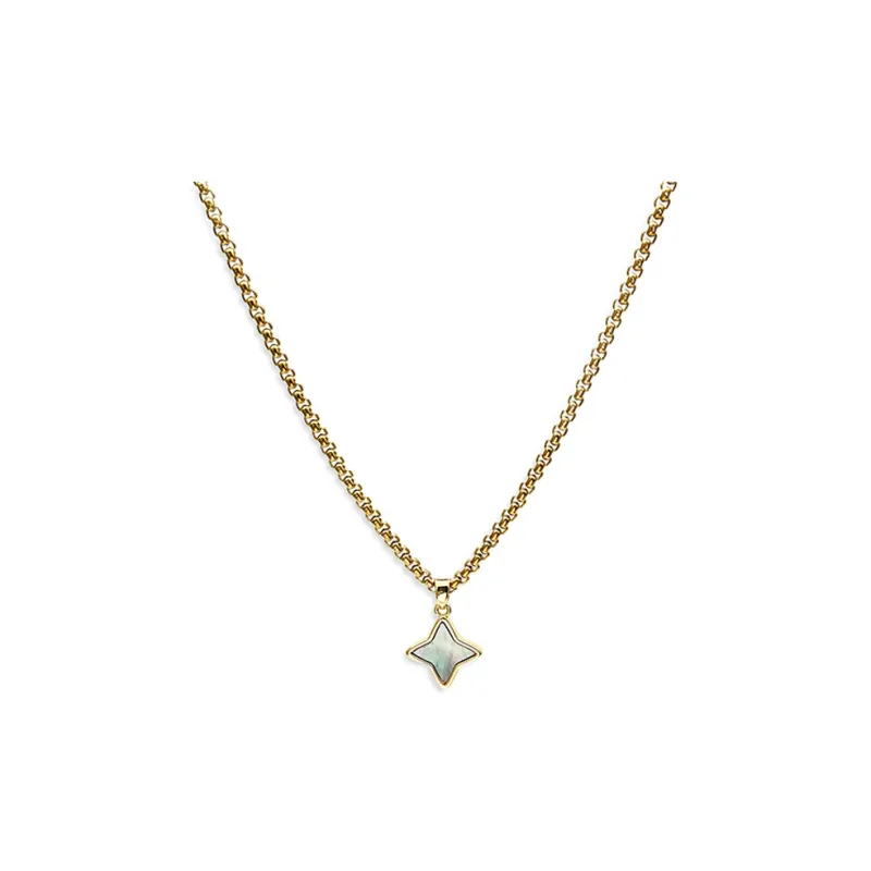 PUENTE Titanium Steel Necklaces Men's Gold-0