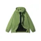Fruit Green