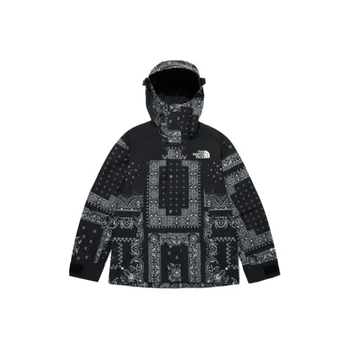 THE NORTH FACE Eco Gtx Mountain Jacket Black Korea Version