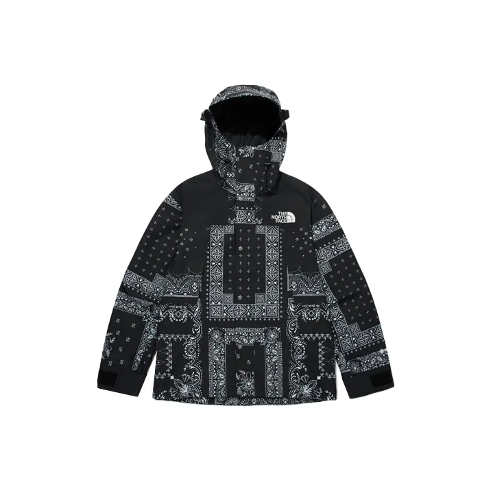 THE NORTH FACE Eco Gtx Mountain Jacket Black Korea Version-0