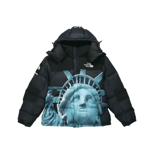 Supreme The North Face Statue Of Liberty Baltoro Jacket