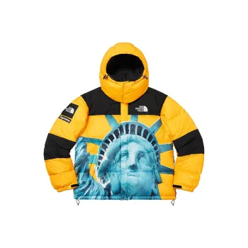 Supreme The North Face Statue Of Liberty Baltoro Jacket