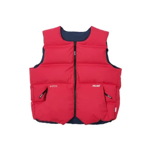 PALACE Gore tex Infinium Reverso Down Vest