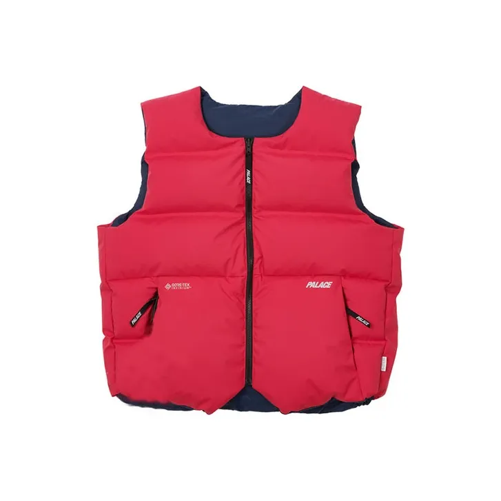 PALACE Gore tex Infinium Reverso Down Vest-0