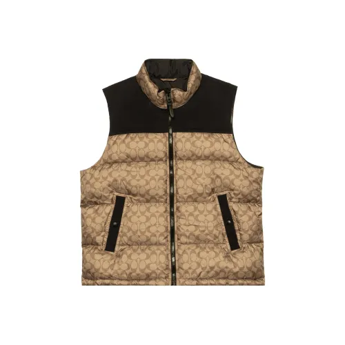 COACH Men Signature Down Vest Golden