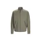 Dusty Green/Forage