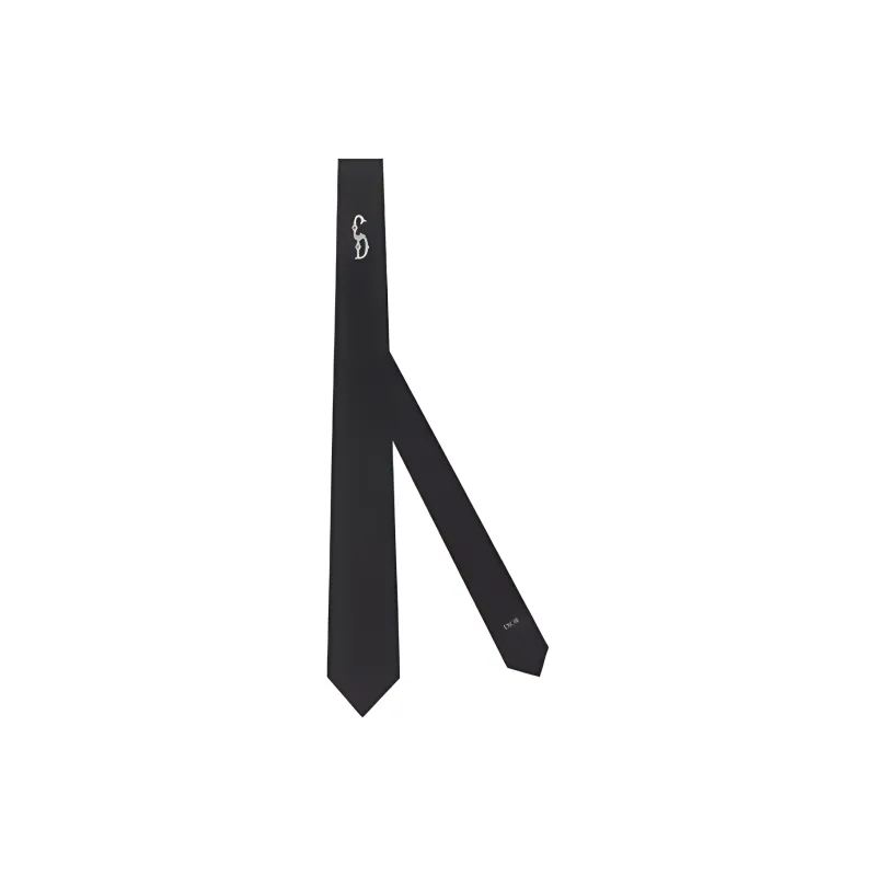 DIOR Ties Unisex-0