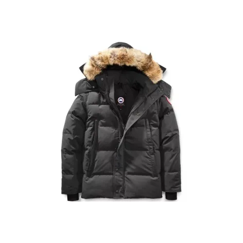 Canada Goose Down Jacket Men's Gray