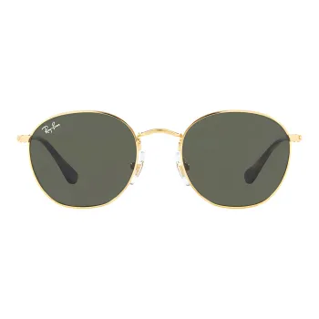 RayBan Rob Irregular Frame Sunglasses
