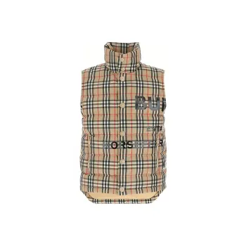 Burberry Down Jacket Men's Brown