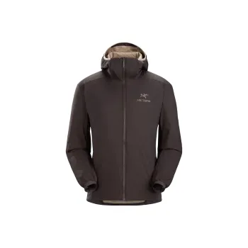 Arcteryx Atom Lt Hoodie