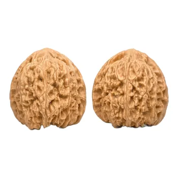 TANGSHU Walnut Fine Handicraft Collectible Unisex