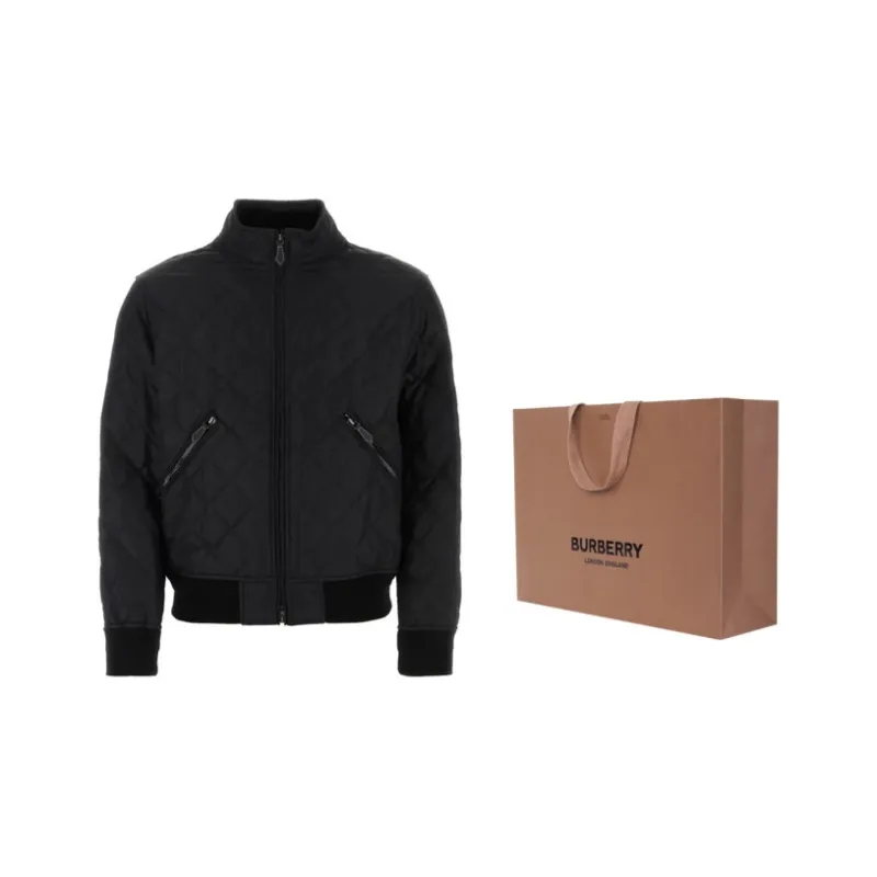 Burberry Puffer Jacket Winter Men's Black-6