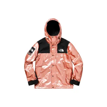 Supreme The North Face Metallic Mountain Parka