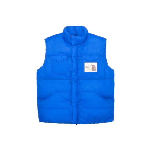 GUCCI X The North Face Down Vest FW21